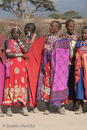 Massai