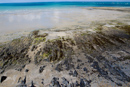 Beach, Low Tide |Canon EOS-1D Mark IV|EF24-70mm f/2.8L USM|24 mm|1/60 sec at f / 11|Pattern|ISO 200|Aperture priority|