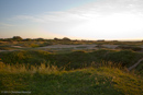 Point de Hoc, Granattrichter |Canon EOS-1D Mark IV|EF24-70mm f/2.8L USM|24 mm|1/1000 sec at f / 2,8|Pattern|ISO 800|Aperture priority|